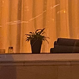 Tiny preview image